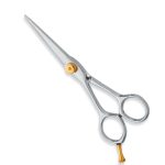Professional Hair Cutting Scissors