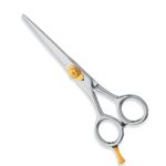 Professional Hair Cutting Scissors