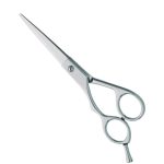Professional Hair Cutting Scissors